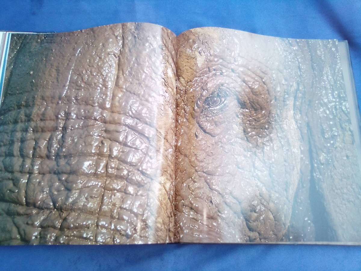 "Dwellers in Eden"  Hard cover.