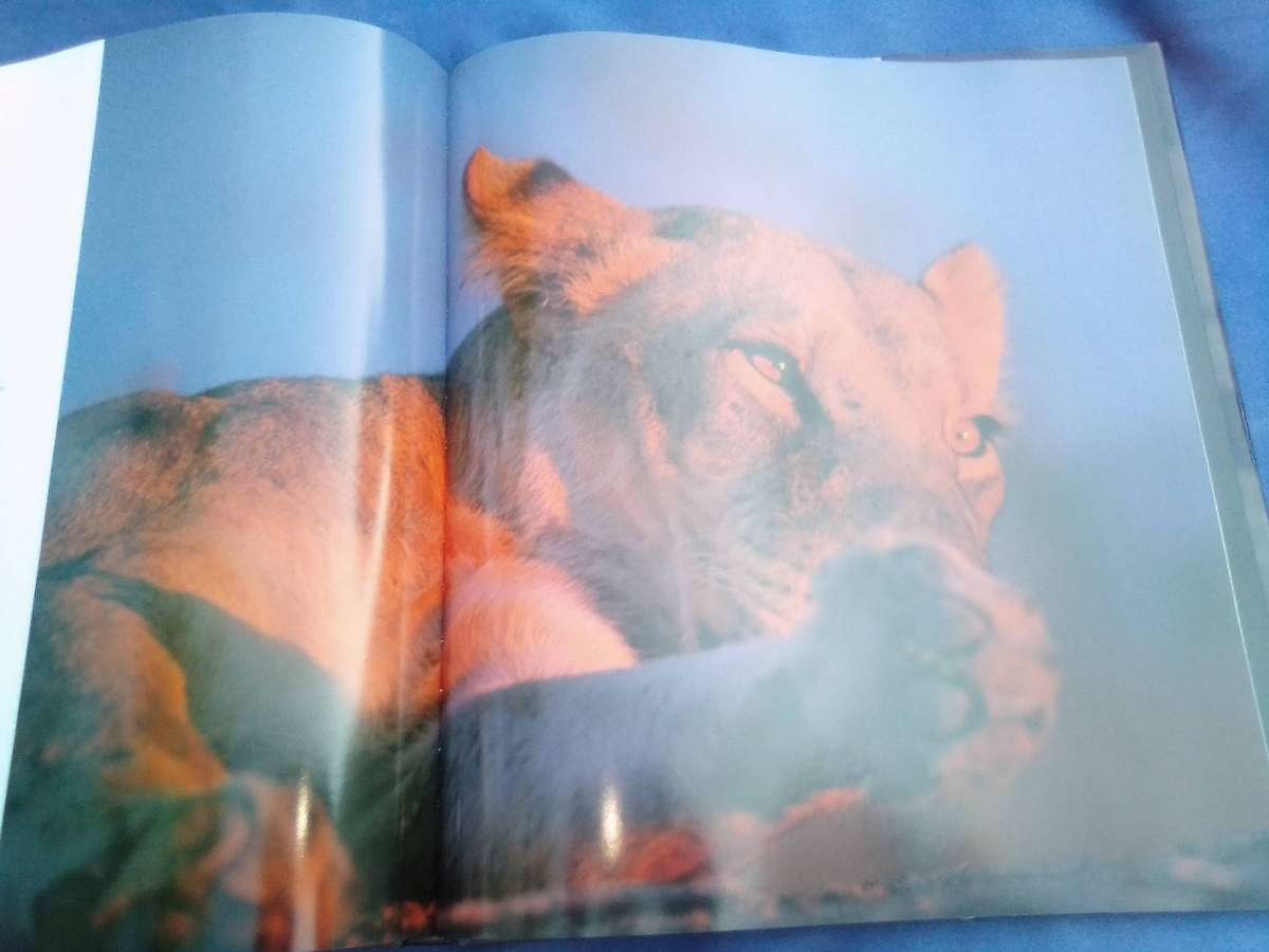 "Dwellers in Eden"  Hard cover.