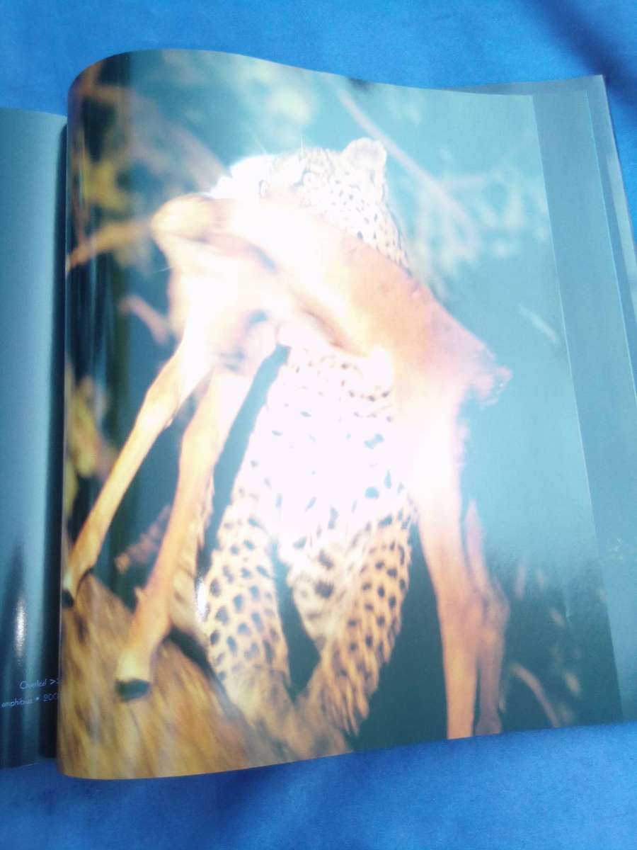 "Dwellers in Eden"  Hard cover.