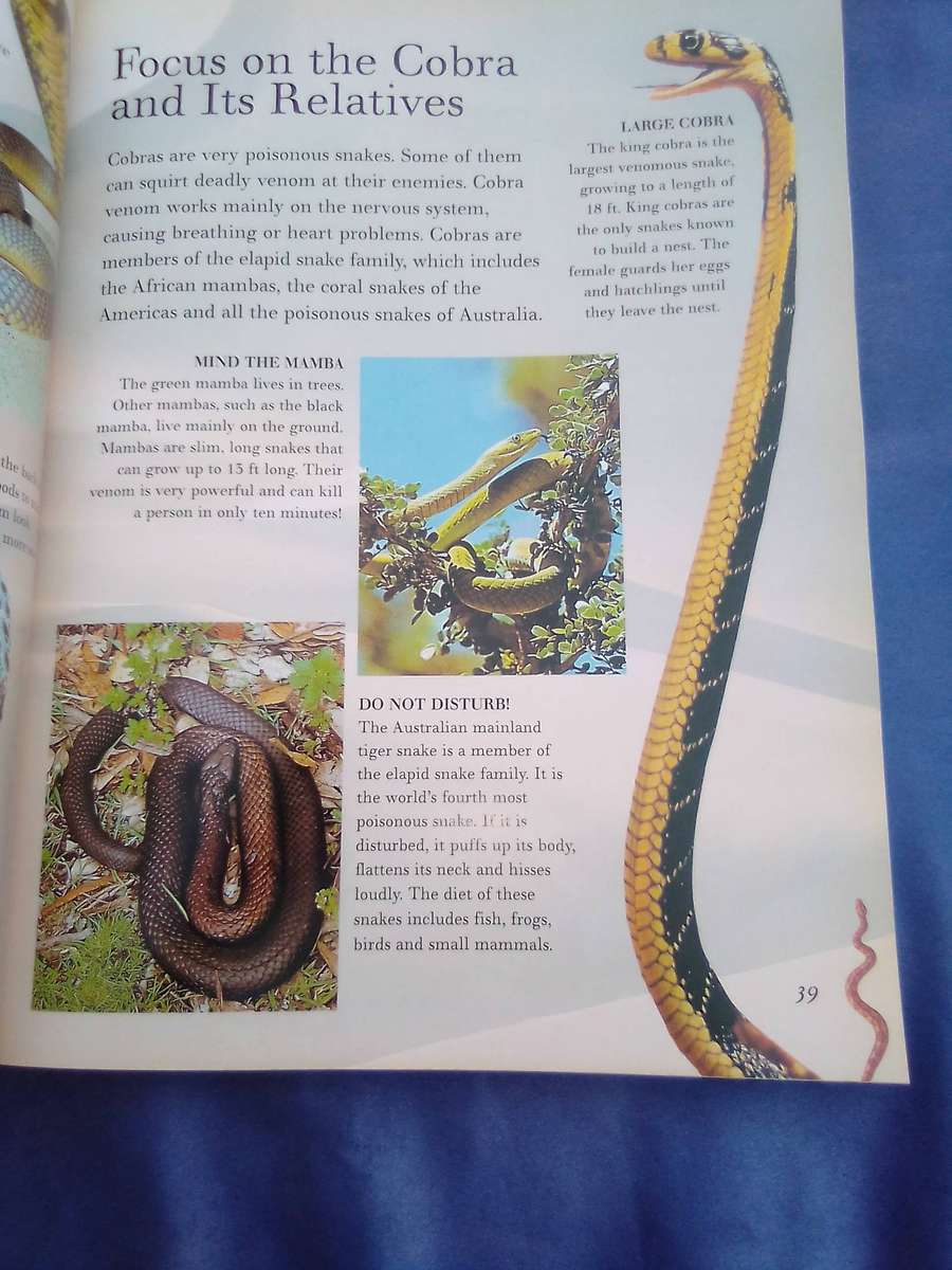 "The Great Big Book of  Snakes & Reptiles". Soft cover.