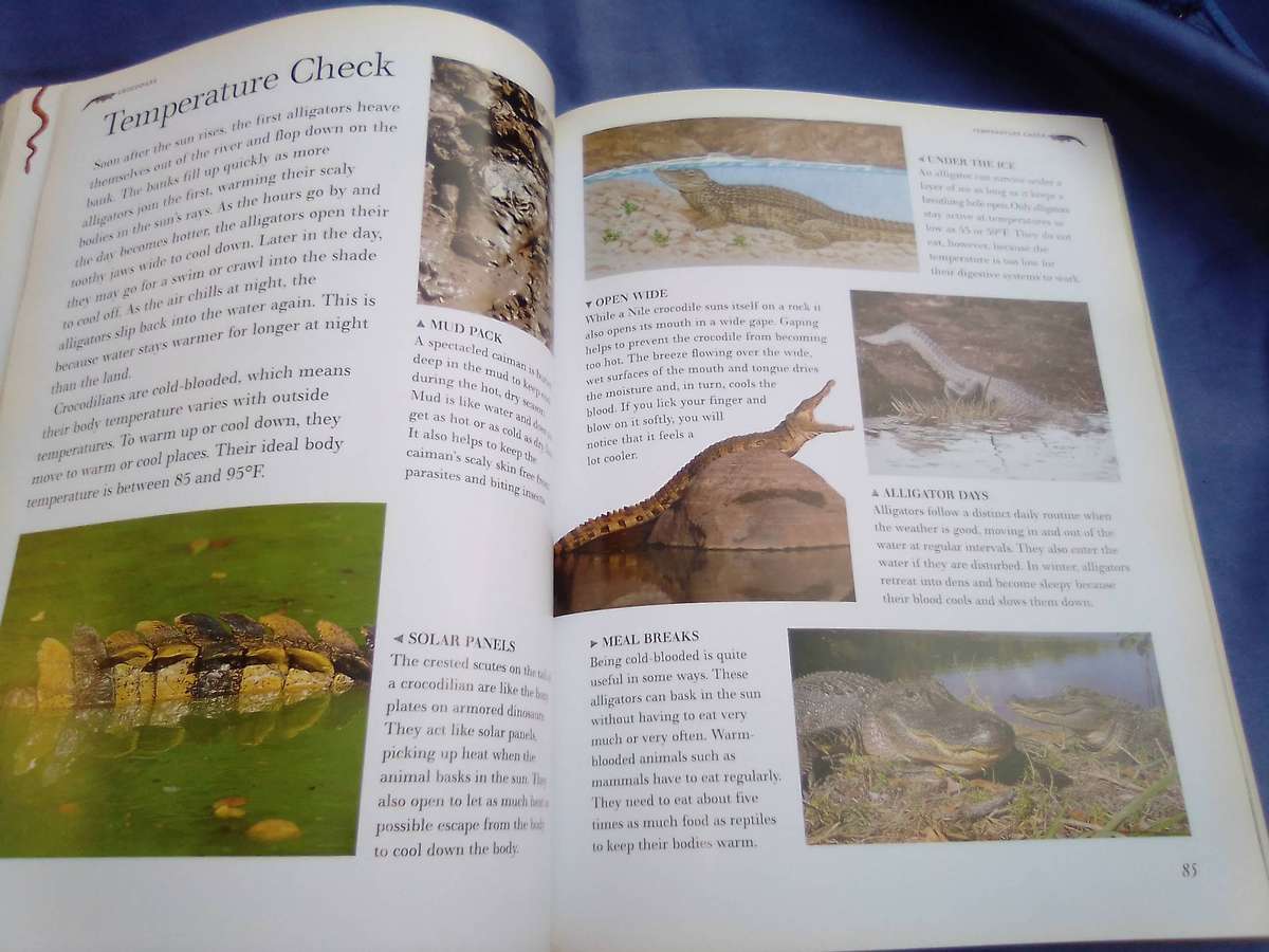 "The Great Big Book of  Snakes & Reptiles". Soft cover.