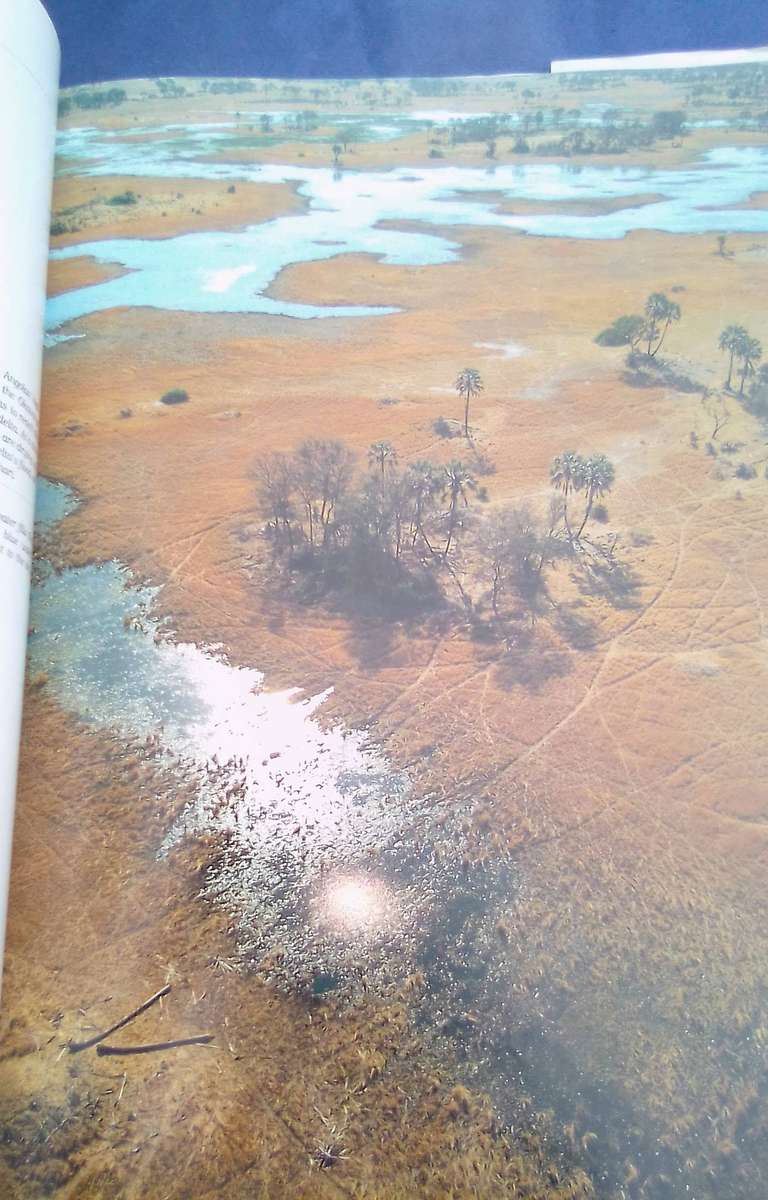 "Beyond the Endless Mopane"  Hard cover.