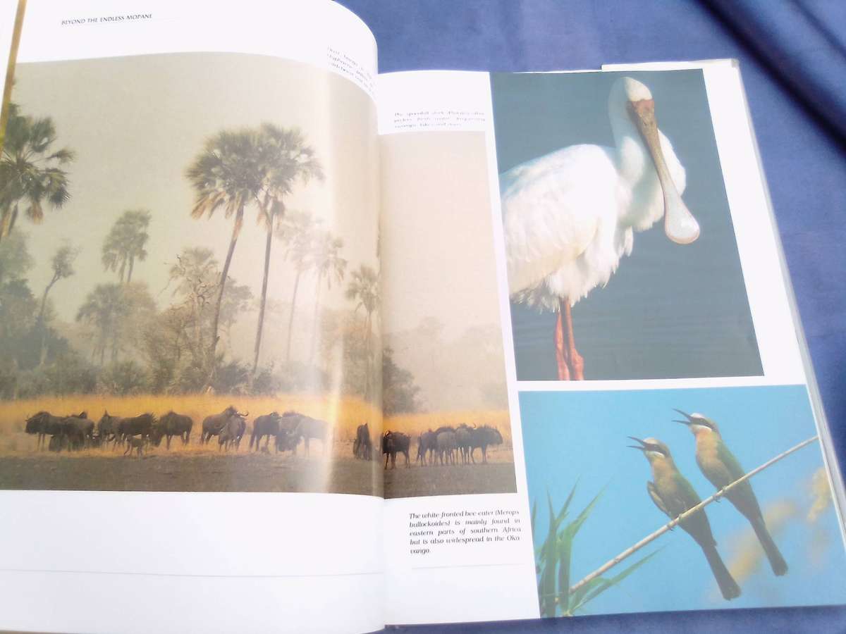 "Beyond the Endless Mopane"  Hard cover.