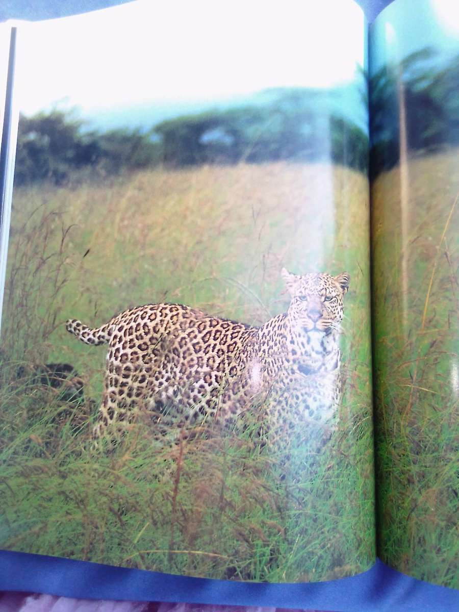 "Wildlife in Action"  Soft cover.