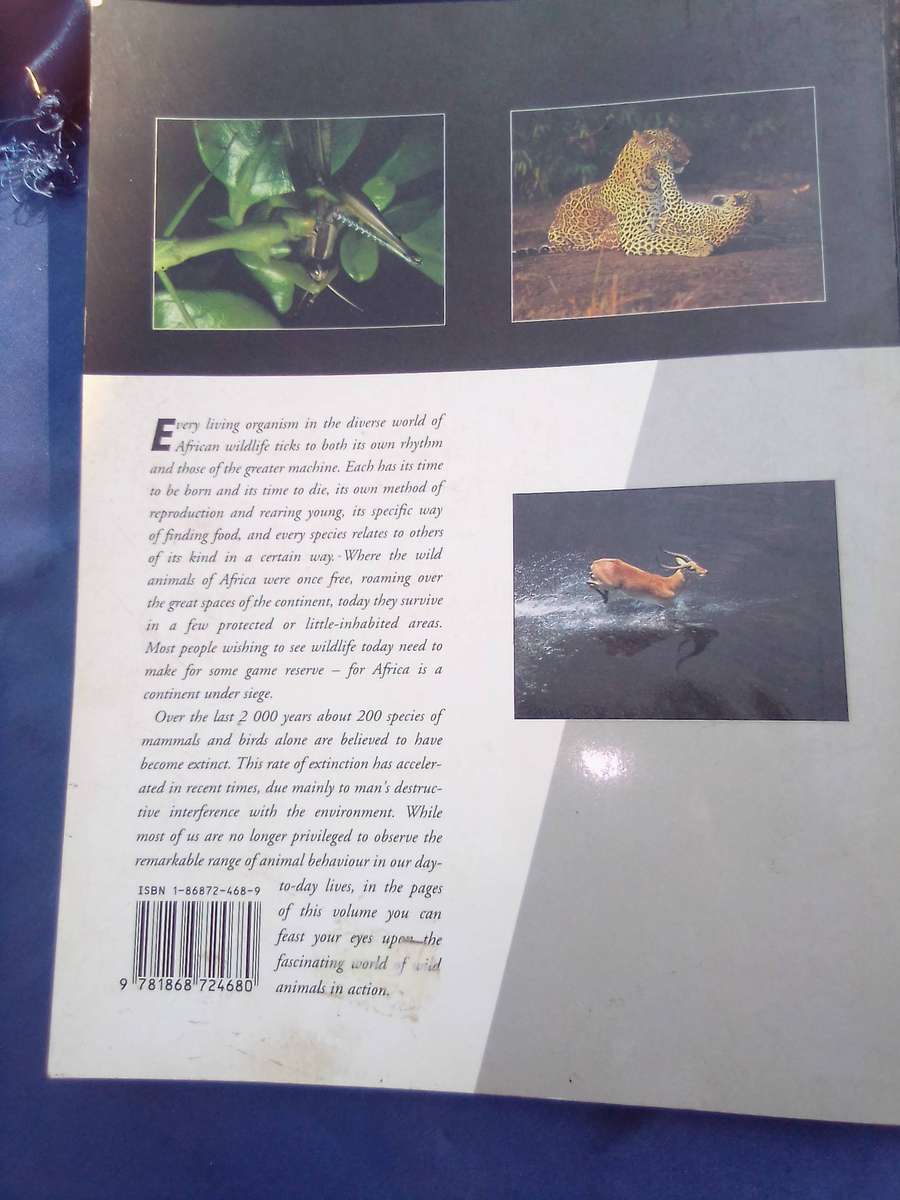 "Wildlife in Action"  Soft cover.