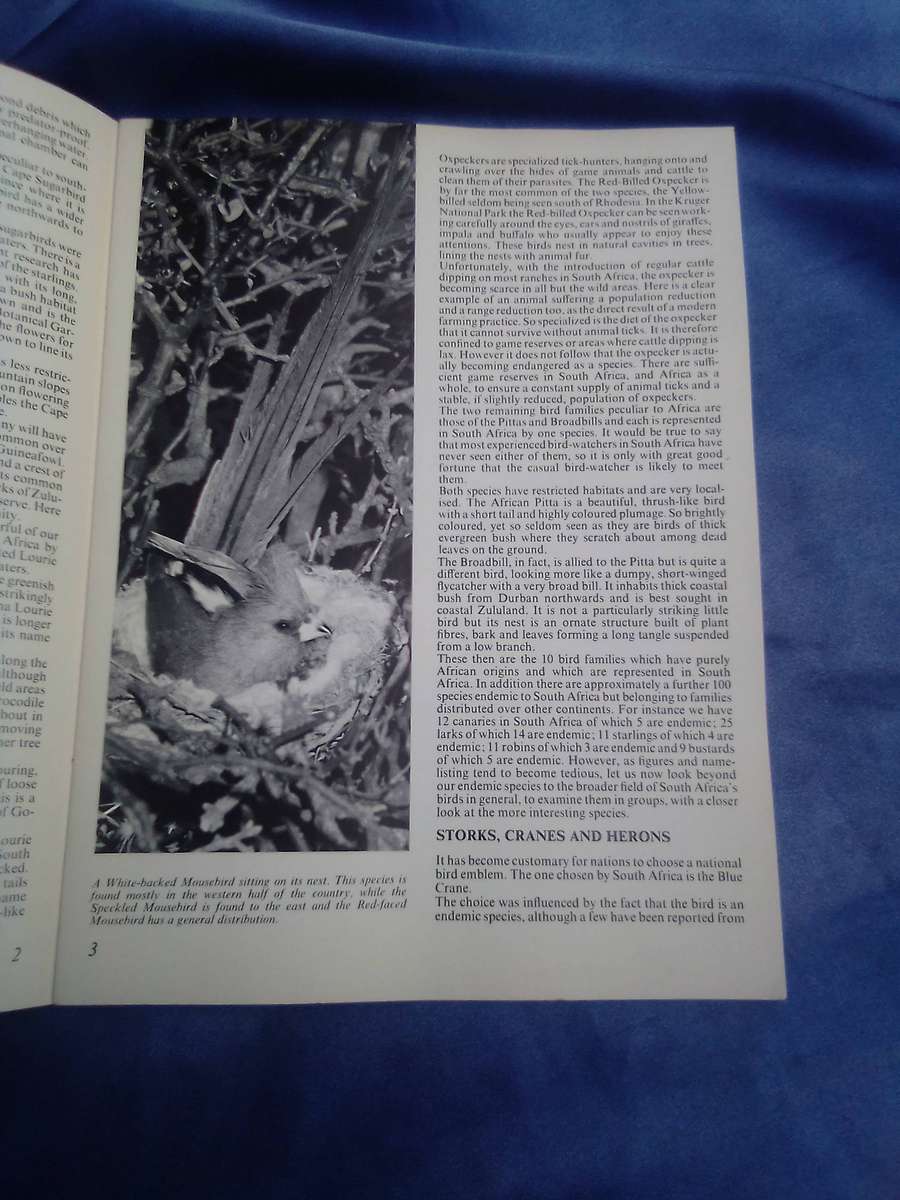 "Pride of South Africa Birds'. Kenneth Newman Soft cover.