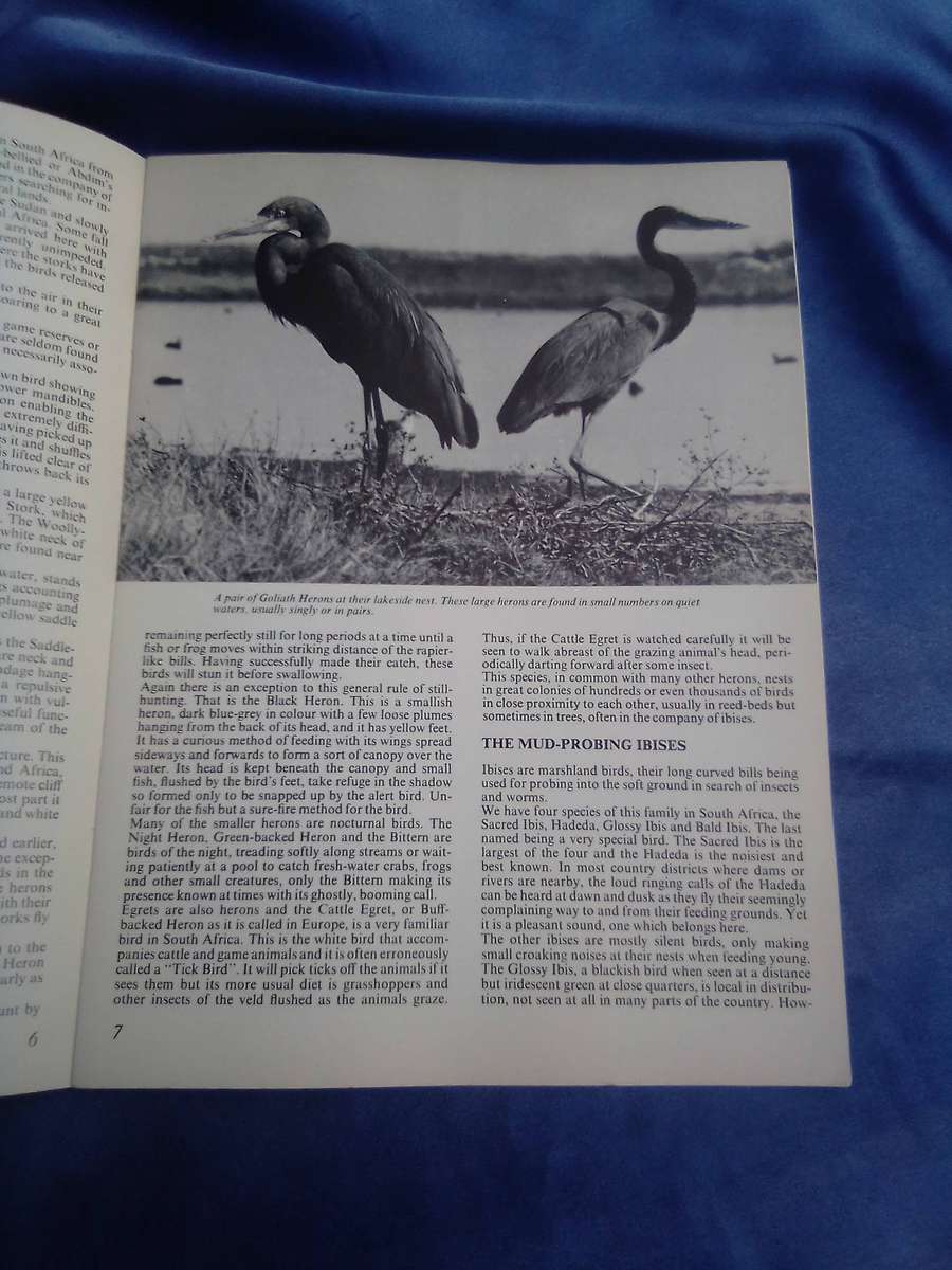 "Pride of South Africa Birds'. Kenneth Newman Soft cover.