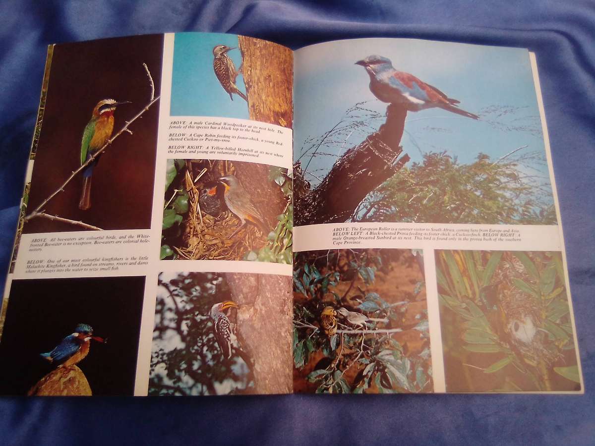 "Pride of South Africa Birds'. Kenneth Newman Soft cover.