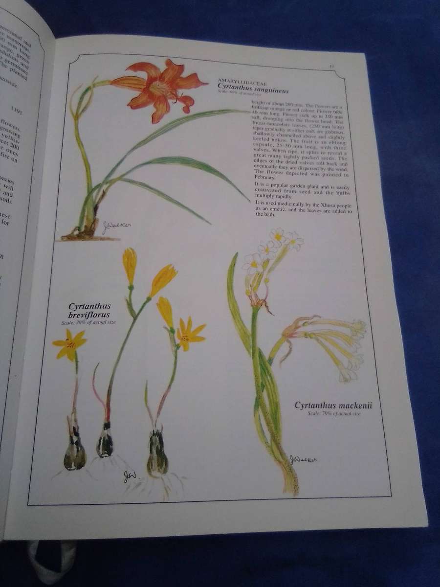 SIGNED  1996. "Wild Flowers of KwaZulu Natal'