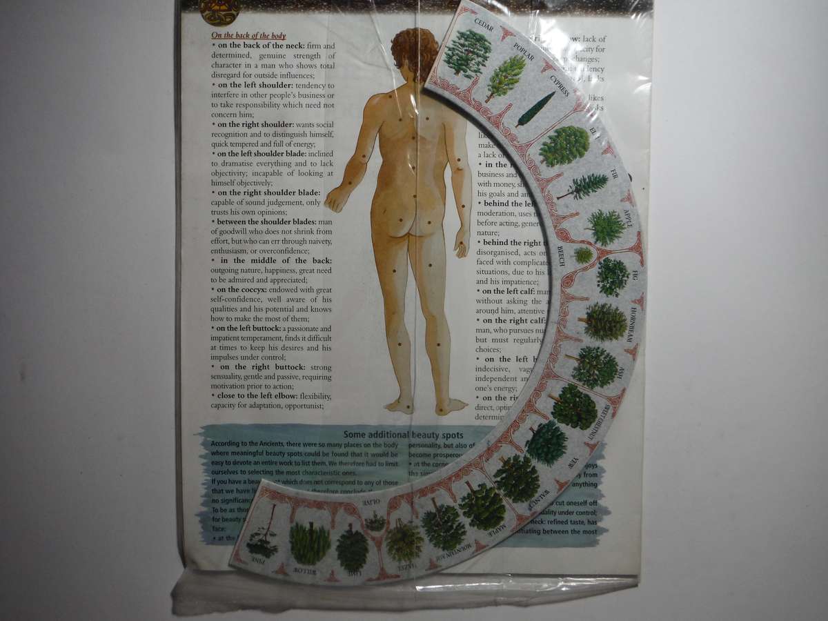 Learn & Understand Astrology : Issues 1-17 and Issues 31-34 with Binder