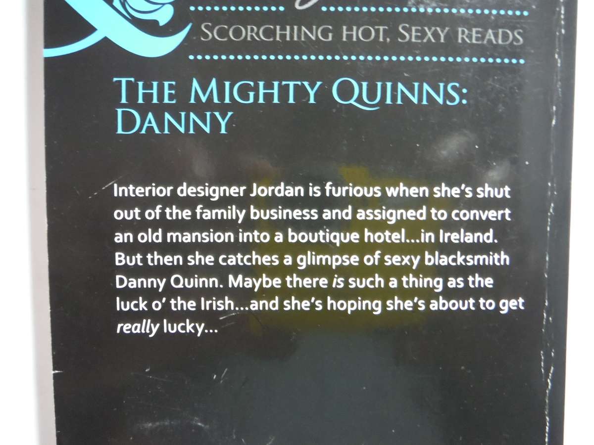 Mills & Boon : The Mighty Quinns: Danny - Paperback - Kate Hoffmann