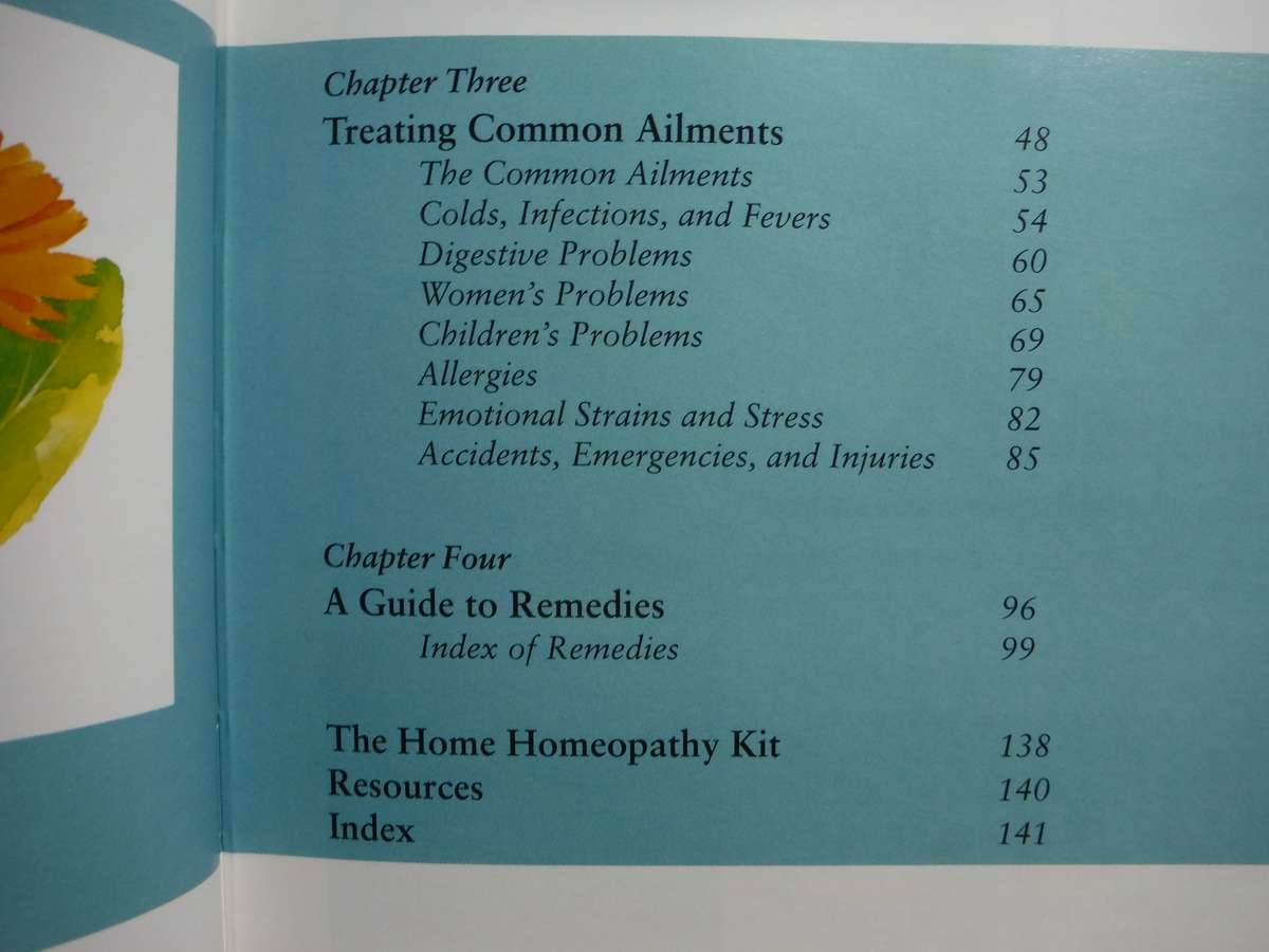 Homeopathy : A Practical Guide to Everyday Health Care - Hardcover - Robin Hayfield