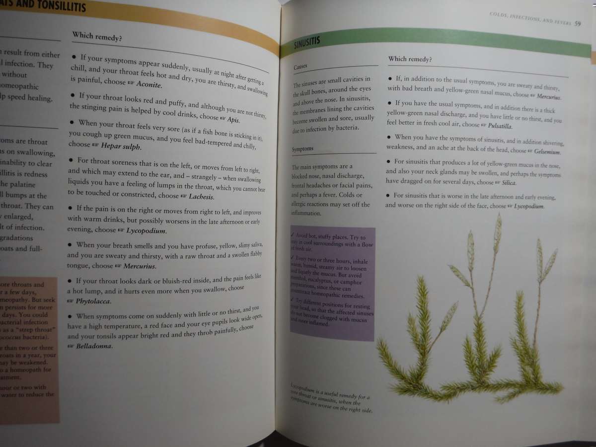 Homeopathy : A Practical Guide to Everyday Health Care - Hardcover - Robin Hayfield