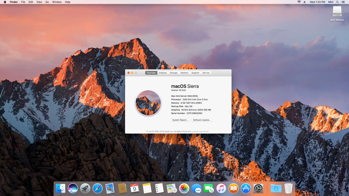 Mac Mini 2010 Server