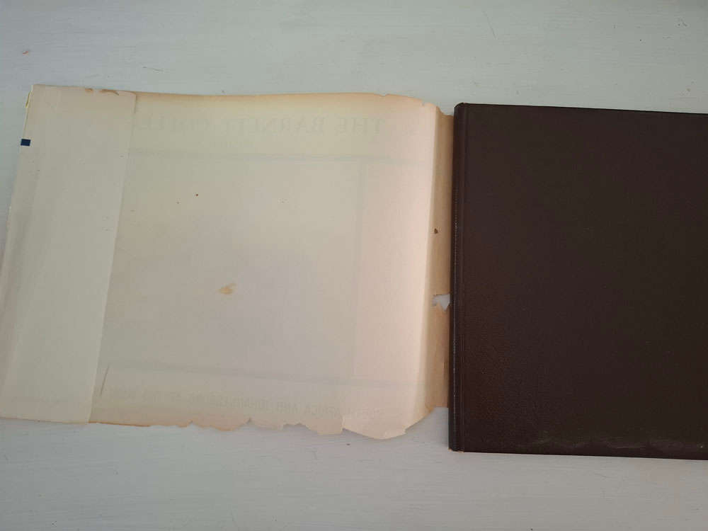 The Barnett Collection Volume II: South Africa And Johannesburg At the Beginning Of The 20th Century