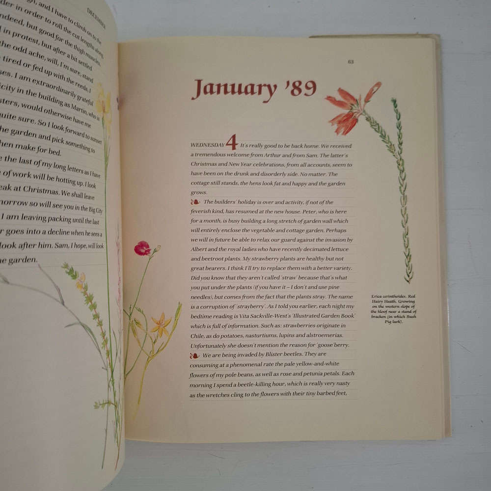 A Cape Country Chronicle  - Rattray, Gillian