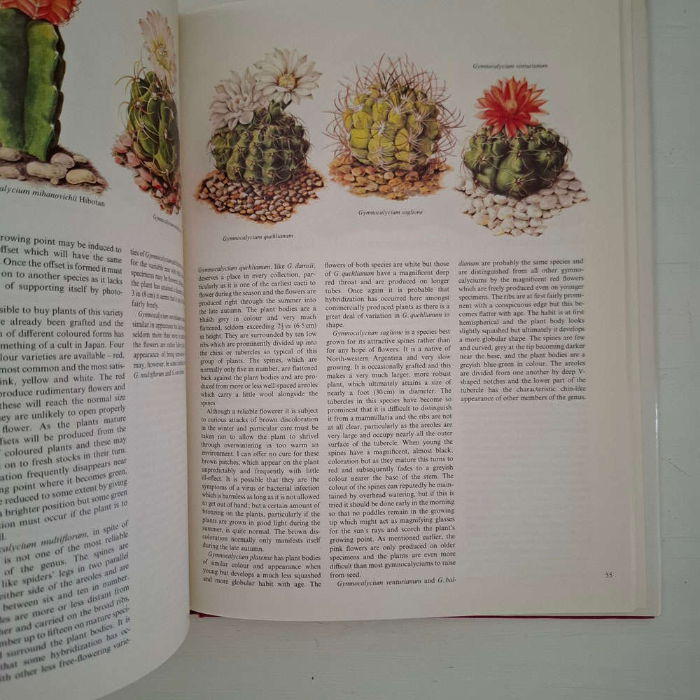 The Collingridge Book of Cacti and other succulents, Illustrated by June Baker - Rochford, Thomas C.