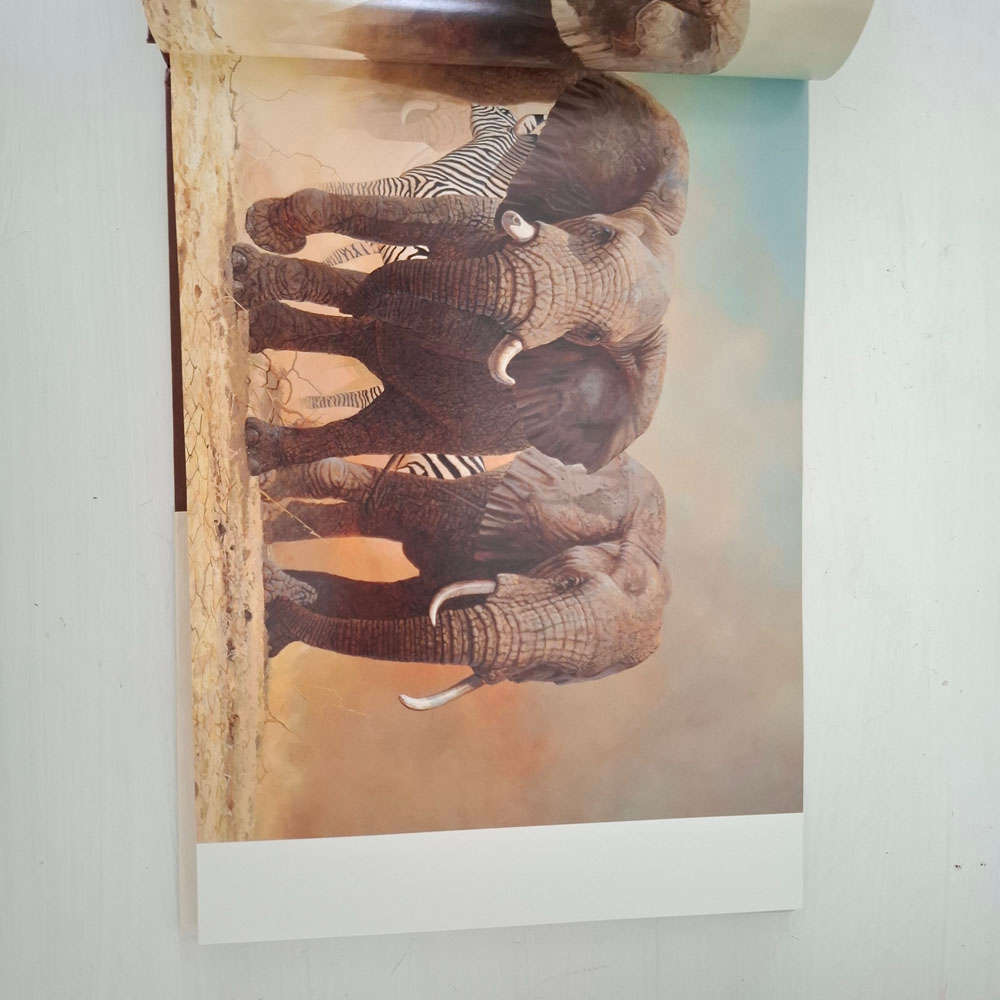 Manzovo: Place of the Elephants - Albyn, Gary/ Bone, Craig (Contributor)/ Whiteley, John (Narrator)