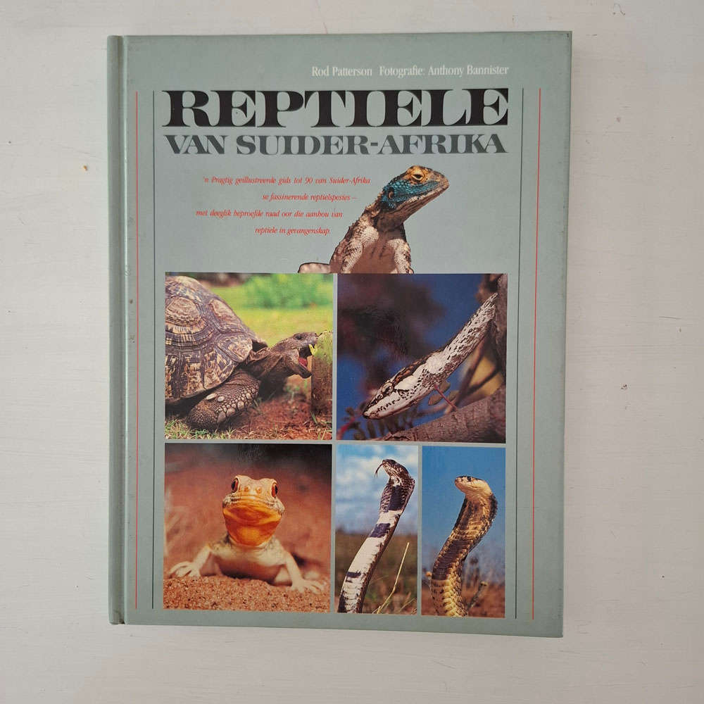 Reptiele Van Suider-Afrika - Patterson, Rod, Bannister, Anthony