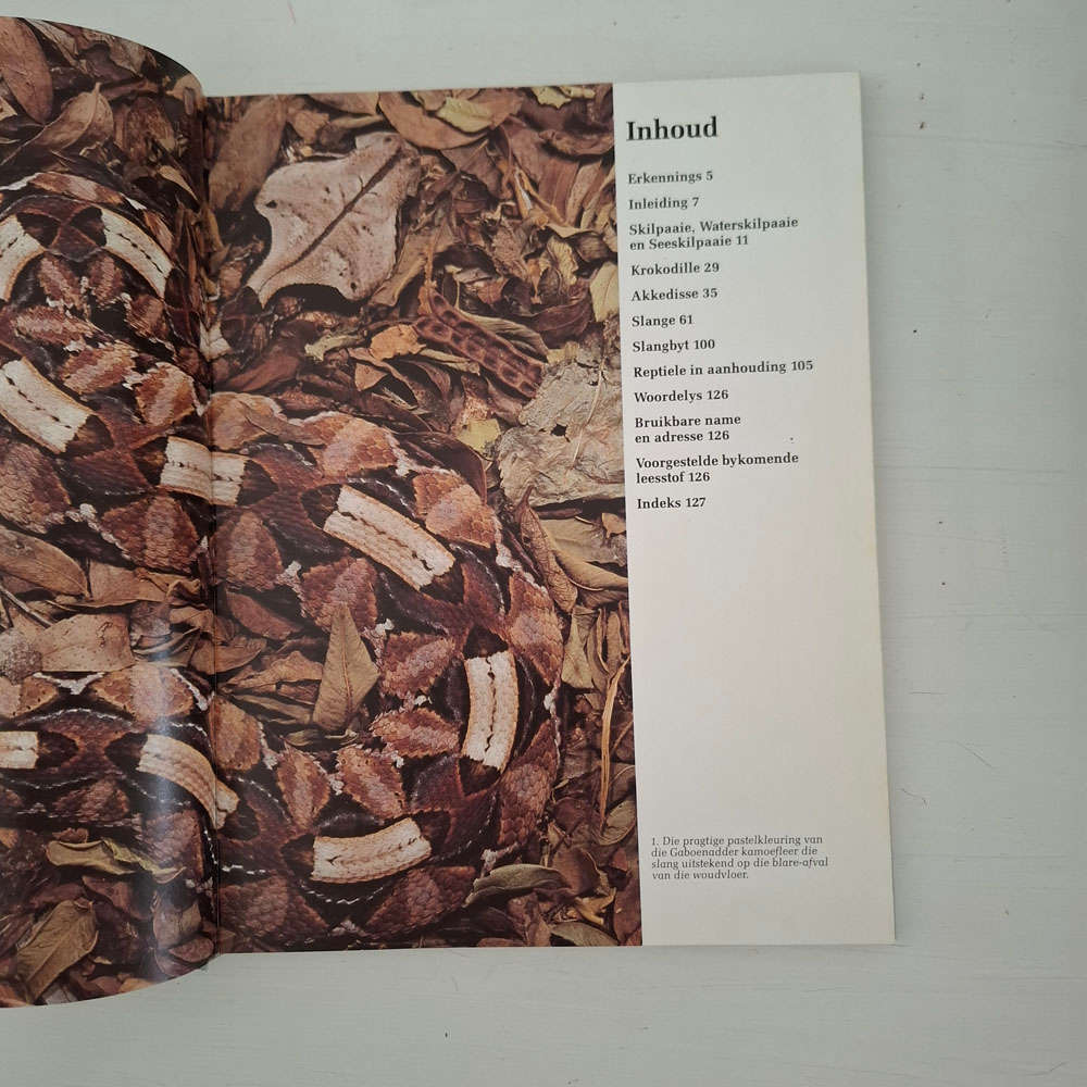 Reptiele Van Suider-Afrika - Patterson, Rod, Bannister, Anthony