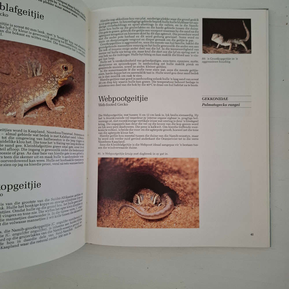 Reptiele Van Suider-Afrika - Patterson, Rod, Bannister, Anthony