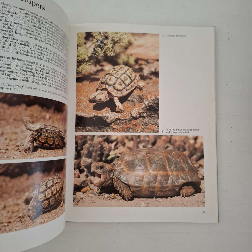 Reptiele Van Suider-Afrika - Patterson, Rod, Bannister, Anthony