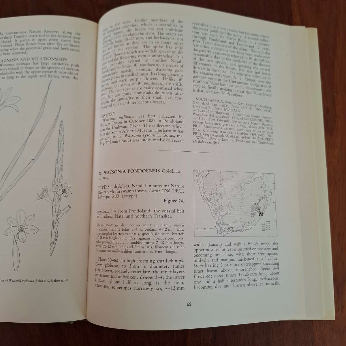 The Genus Watsonia: A Systematic Monograph (Annals of Kirstenbosch Botanic Gardens) Peter Goldblatt