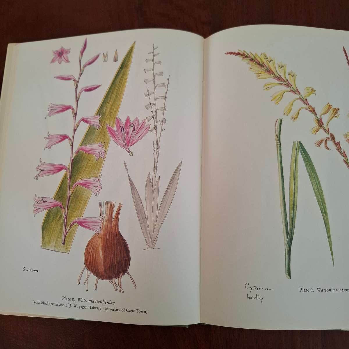 The Genus Watsonia: A Systematic Monograph (Annals of Kirstenbosch Botanic Gardens) Peter Goldblatt