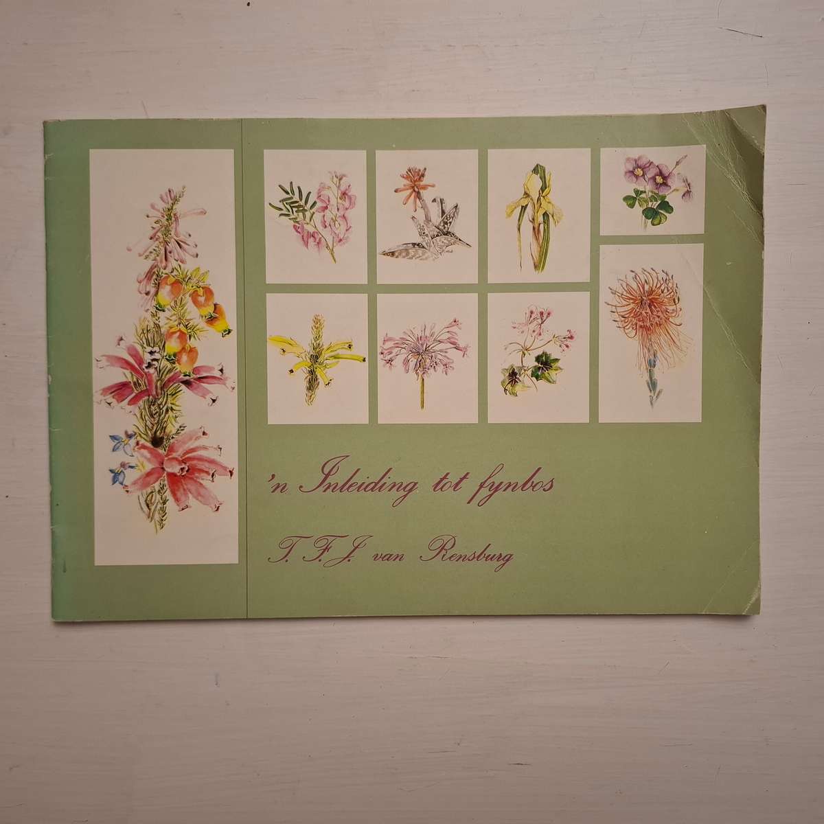 'n Inleiding tot Fynbos (TFJ van Rensburg)