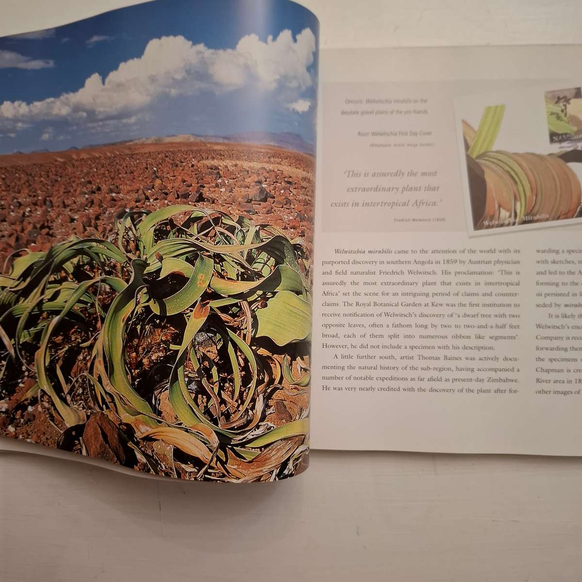 Heat, Dust and Dreams: An Exploration of People and Environment in Namibia's Kaokoland & Damaraland