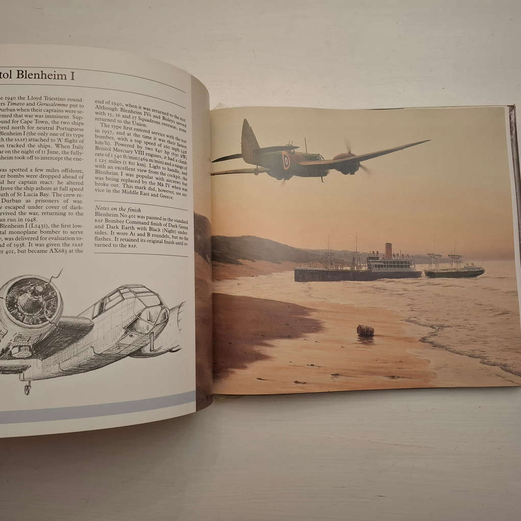 A portrait of military aviation in South Africa (Ron Belling)