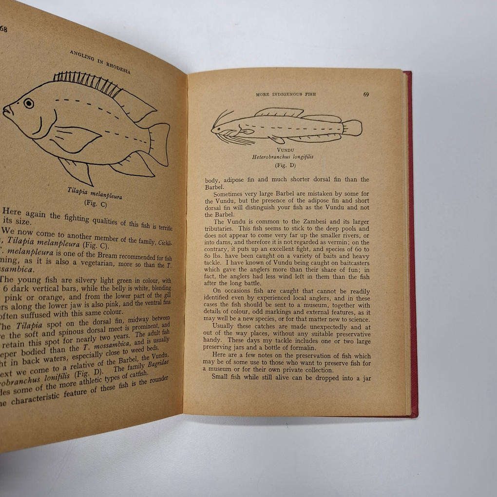 Angling In Rhodesia (Allan B.W. Impey)