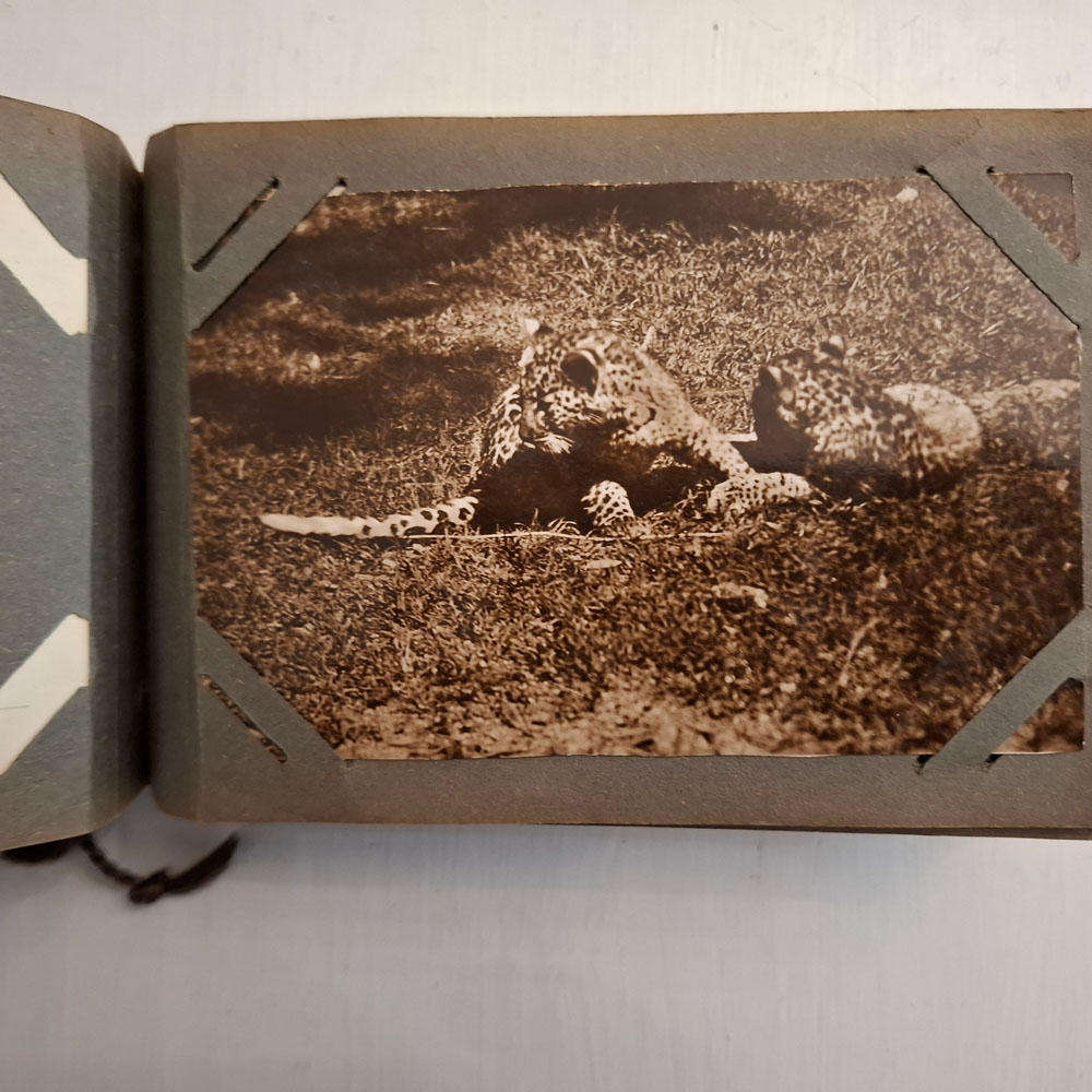 Second World War Postcard and photographic postcard album (Eritrea, Somalia etc)