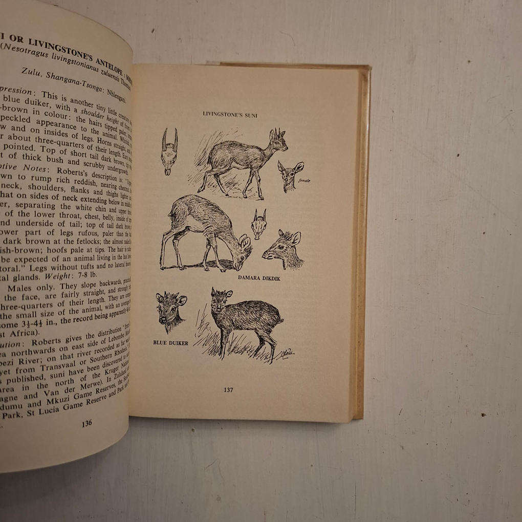 The Game Animals Of Southern Africa (Astley C.T. Maberly)