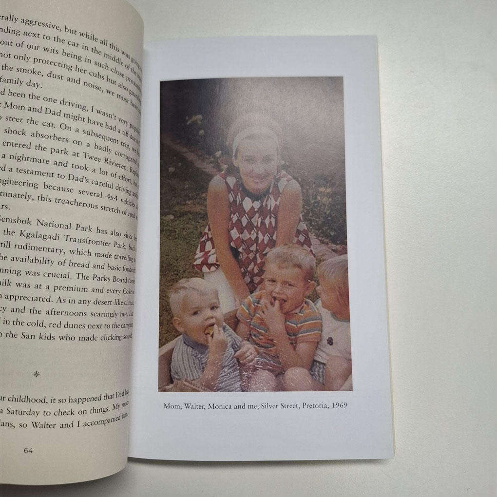 Impossible Skies: life with my brother, the artist Walter Meyer (Frans Meyer)