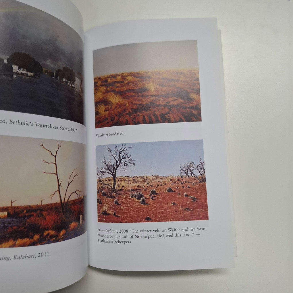 Impossible Skies: life with my brother, the artist Walter Meyer (Frans Meyer)