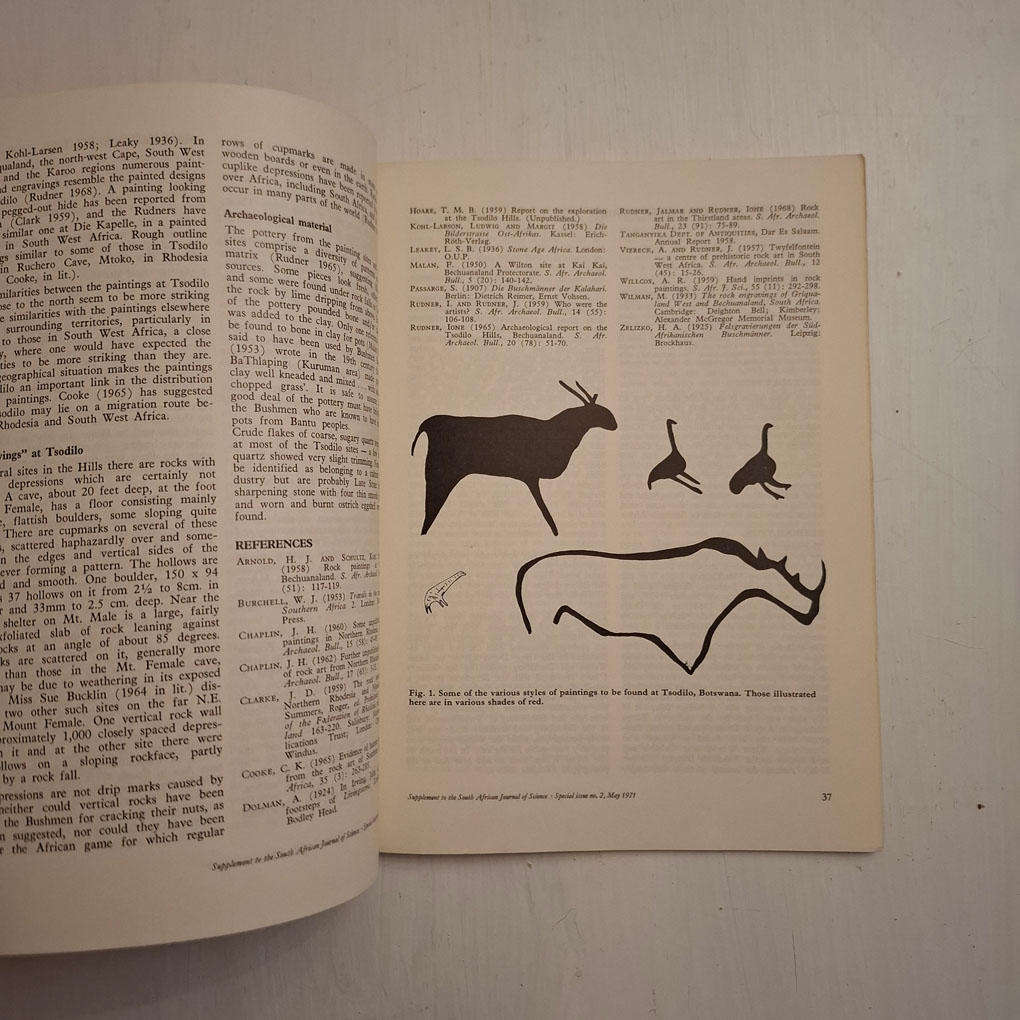 Rock Paintings of Southern Africa: Special Publication Number 2