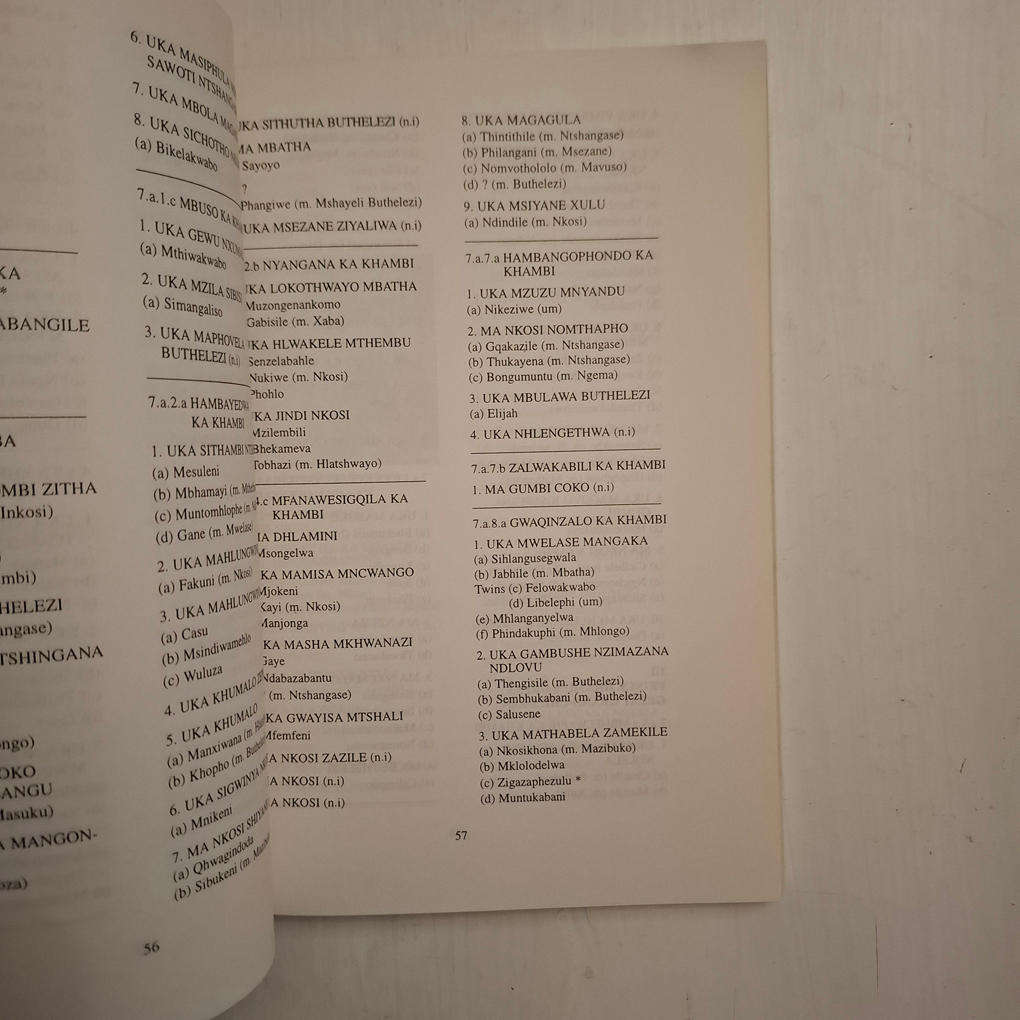 King Mpande's Children : The Blood Royal Zulu Princes and Princesses (Themba Nzimande)