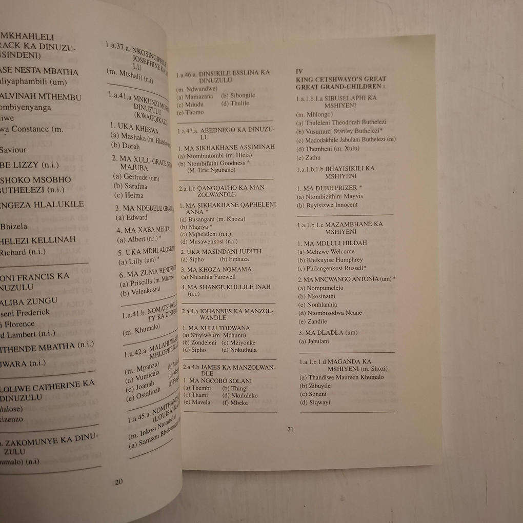 King Mpande's Children : The Blood Royal Zulu Princes and Princesses (Themba Nzimande)