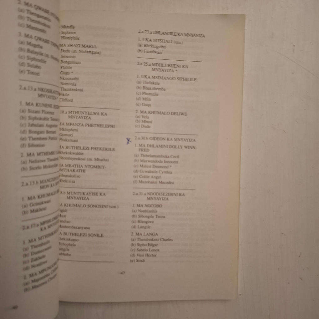 King Mpande's Children : The Blood Royal Zulu Princes and Princesses (Themba Nzimande)