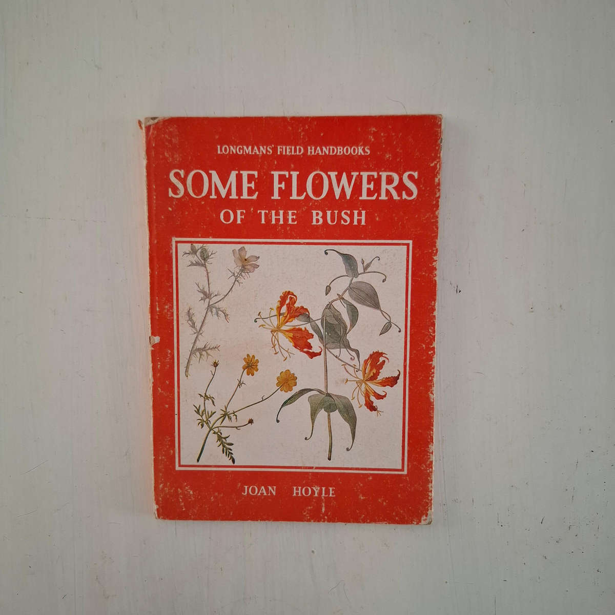 Some Flowers Of The Bush  (Joan Hoyle)