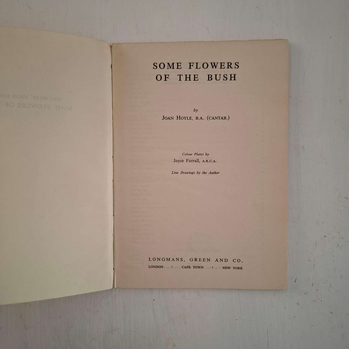 Some Flowers Of The Bush  (Joan Hoyle)