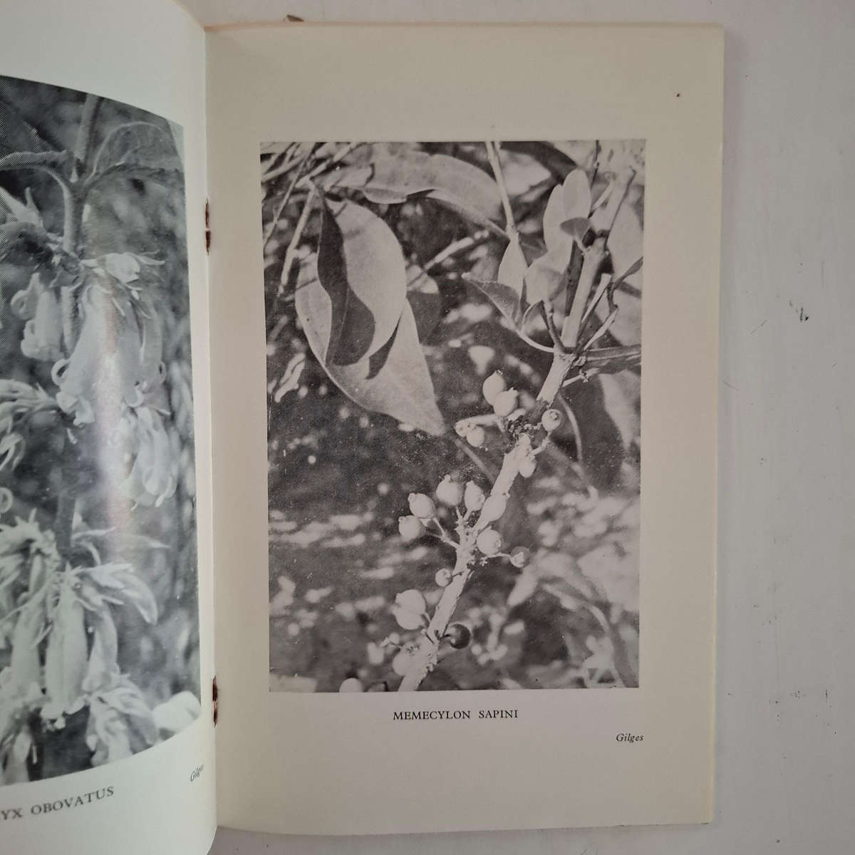 Some African Poison Plants and Medicines of Northern Rhodesia. The Occasional Papers of the Rhodes-L