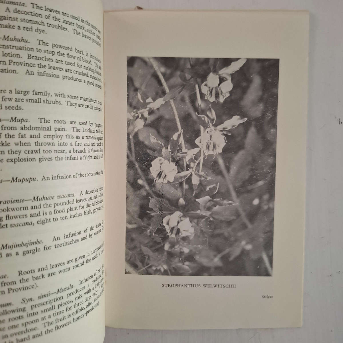 Some African Poison Plants and Medicines of Northern Rhodesia. The Occasional Papers of the Rhodes-L