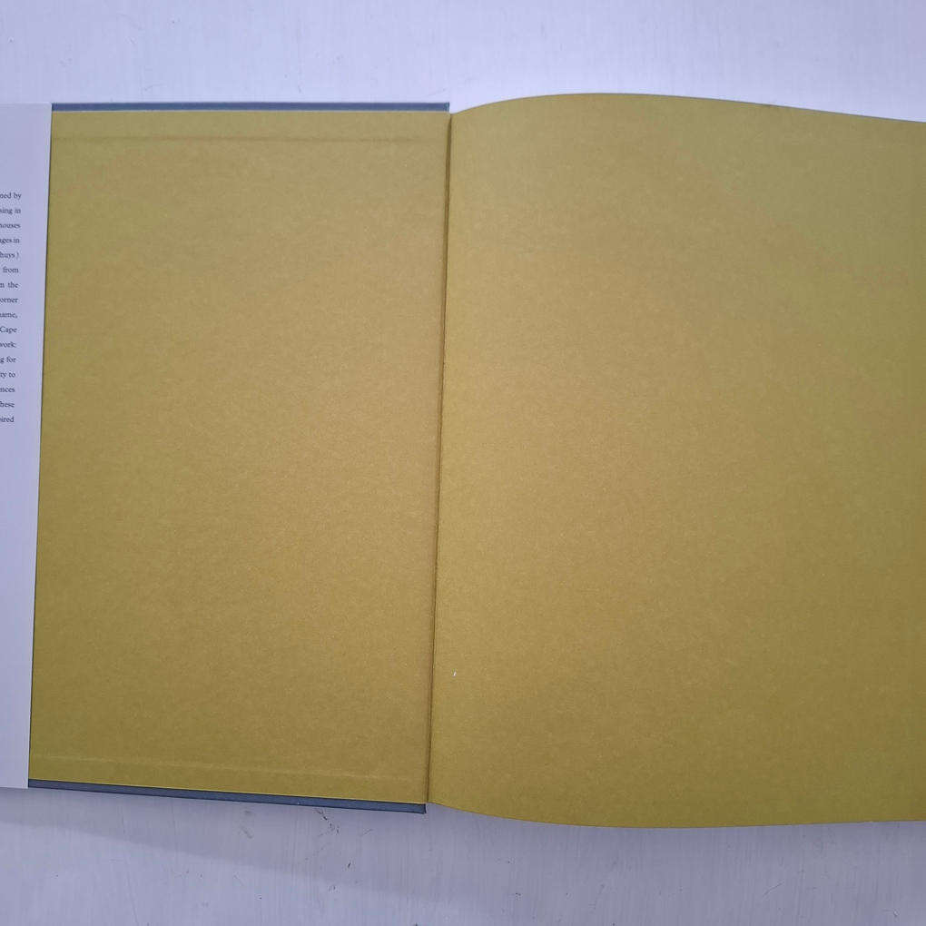 Twenty Cape Houses - Gabriel Fagan