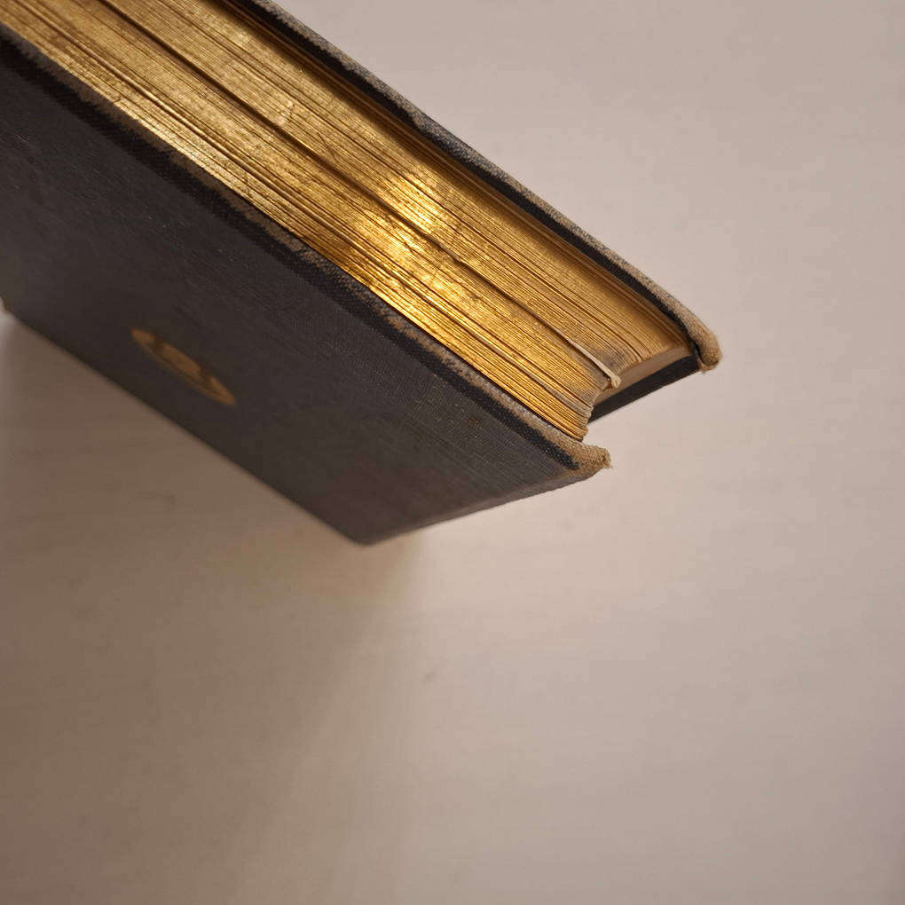 The heroes or Greek fairy tales for my children by Charles Kingsley, with illustrations by T.H. Robi