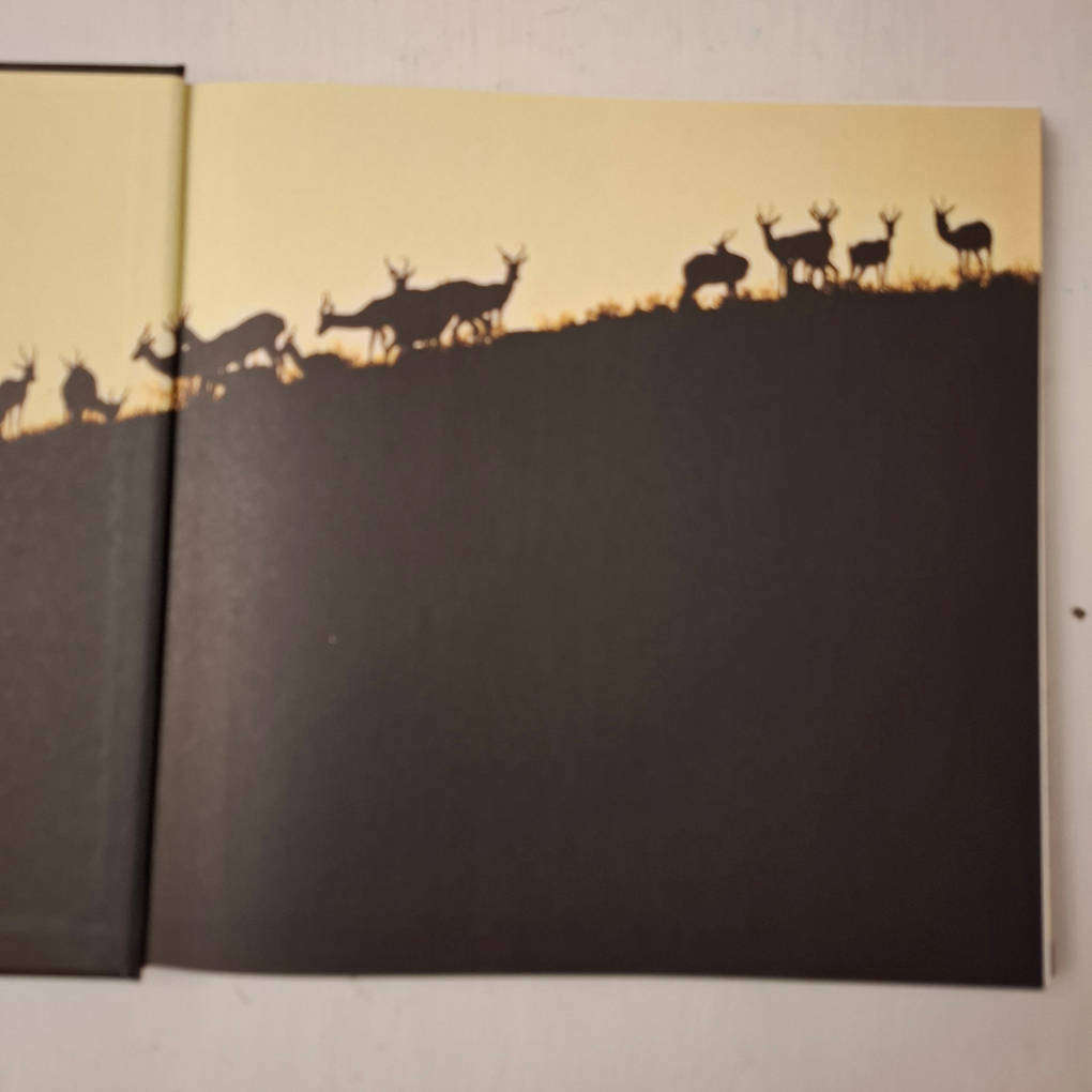 Bronze and Fire: The art of Donald Greig (Artist)