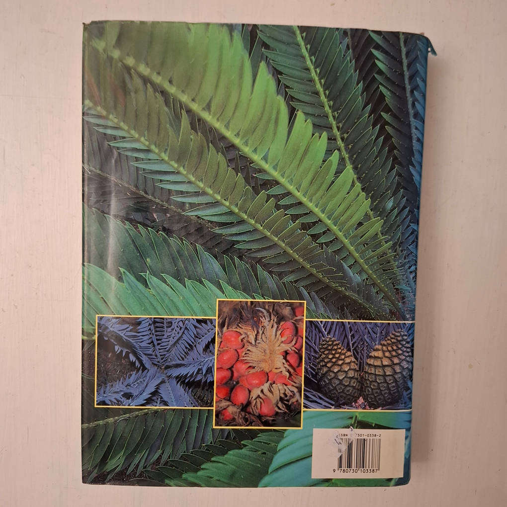 Cycads of the World - Ancient Plants in Today's Landscape (David L. Jones)