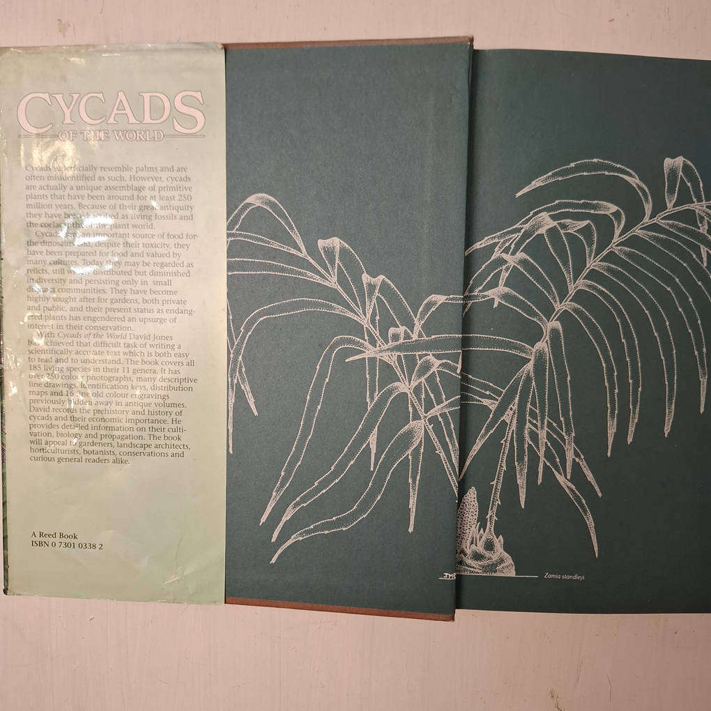 Cycads of the World - Ancient Plants in Today's Landscape (David L. Jones)