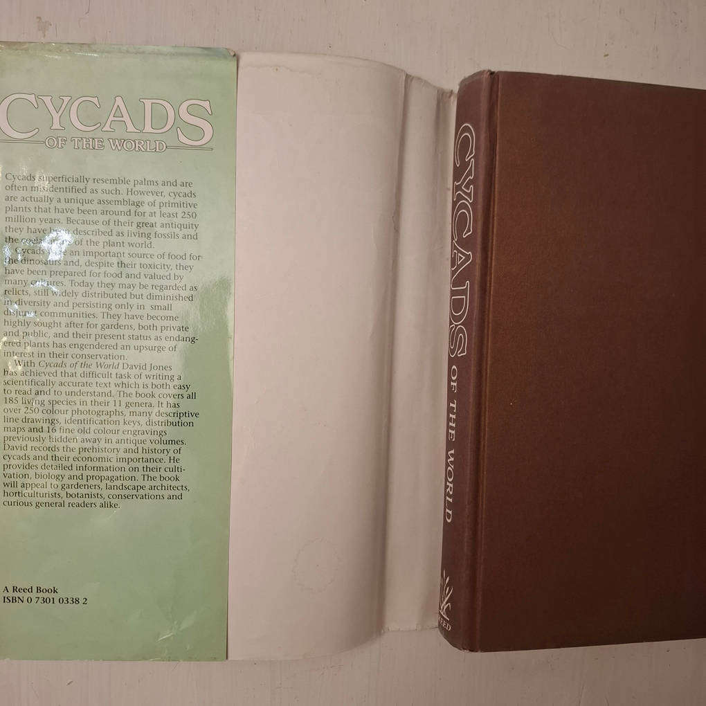 Cycads of the World - Ancient Plants in Today's Landscape (David L. Jones)